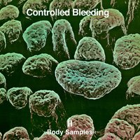 Blubber Grind - Controlled Bleeding