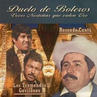 Pido Perdon - Rosendo Cantú