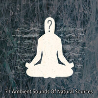 Healthy Heart - Avslappning Sound