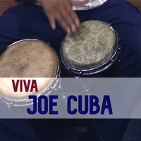 I Got You Under My Skin - Joe Cuba