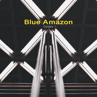 Four Seasons - Blue Amazon & Vicky Webb & Hiratzka & Cheung