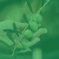 Sensational Ambience for Rejuvenation - Saturday Morning Jazz Playlist