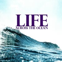 Last Night I Dreamt of You - Life