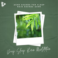 Rainforest By The Sea - ASMR Sounds for Sleep & Rain Sounds ASMR