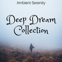 The Calm Before the Storm - Buddha Room & Sleep Songs Divine & Sleep Songs Divine & Buddha Room