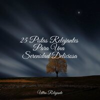 Armonías Relajantes - Naturaleza Relajacion & Musica Relajante Specialistas & Musica Relajante & Lluvia Relajante