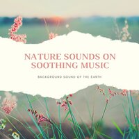 Soothe the Senses - Vitamin Therapy