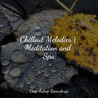 Firs in the Forest - Lullabies for Deep Meditation & Sleep Baby Sleep & Musica Relajante Para Dormir