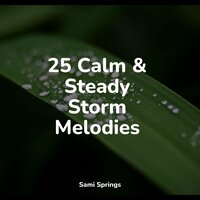 Rainy Woodland Ambience - Active Baby Music Workshop & Water Soundscapes & Relaxing Rain Sounds