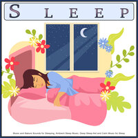 Background Sleep Music - Sleeping Music & Sleep Music System & deep sleep music collective