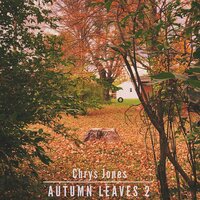 Rain Through - Chrys Jones