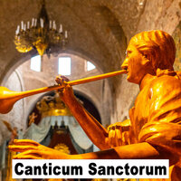 Actus contritionis - Alessio Randon & Musica Sacra