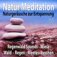 Die Natur erwacht: Geräusche für Natur Meditation - Torsten Abrolat & SyncSouls