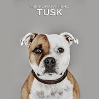 Angel - Temporary Hero