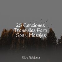 Meditaciones Melódicas - Mantra para Meditar & Sonidos de la Naturaleza Relax & Canciones De Cuna Para Dormir Bebes