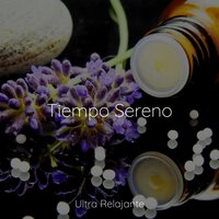 Melodía Tropical - Sonido de lluvia & Ambiente & Musica Para Relajarse