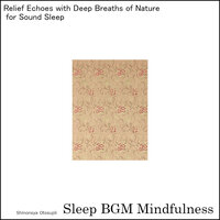 Mindful Reflection, The Heartbeat of Serenity - Sleep BGM Mindfulness