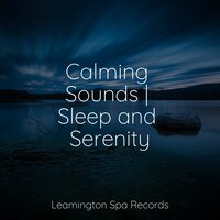 Calm & Comfortable - Binaural Beats & Deep Sleep Meditation & Relaxing Sleep Sound