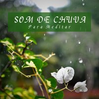 Som de Chuva para Meditar, Pt. 21 - Notas de Relaxamento