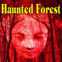 Haunted Forest - The Hollywood Edge Sound Effects Library
