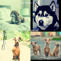 Smoky Moods for Walking Dogs - Dog Music Luxury