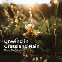 Relaxing Nature Rain - Rain Recorders & Rainfall & Nature Rain Relaxation