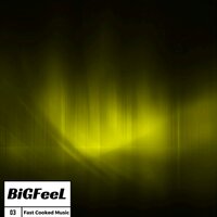 We Are Not Alone - BiGFeeL