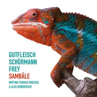 Clarity - Dominik Schürmann & Elmar Frey & Christian Gutfleisch