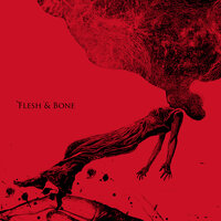 Flesh and Bone - Aneuma