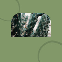 Music (Joyful) - Music For Deep Sleep