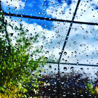 Soft Rain & Gentle Thunder - Tailormade Ocean Waves & Lightning & Sounds Of Nature Relaxation