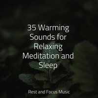 Contemplations - Echoes of Nature & Alpha Brain Waves & Asian Zen: Spa Music Meditation