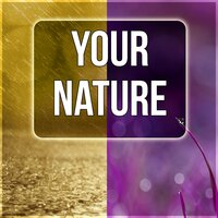 Reiki Song (Yoga Music) - Natural Sounds Music Academy