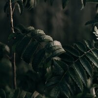 Breath of the Wind - Sleep Baby Sleep & Massage Therapy Music & Rain for Deep Sleep