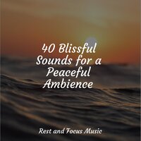 Memories of Moonlight - Spa Zen & Entspannungsmusik & Sleep Music