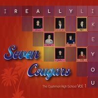 I Really Like You - Seven Cougars & Julia-Rose Siegler & Beno Garcia & Dylan Glottman & elysian