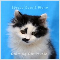 Sleepy Cats & Piano - Calming Cat Music