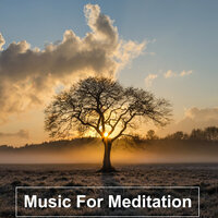 Meditation for Health - Nature Sounds & Music & Музыка для сна & Meditation Music