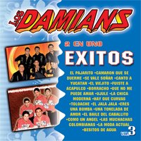 Que No Me Puede Amar - Los Damians