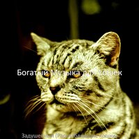 Звуки (Милые кошки) - Богатый Музыка для кошек