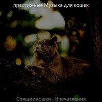Моменты (Подчеркнутые кошки) - престижные Музыка для кошек