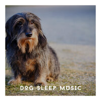Sleepy Pup - Relaxing Dog Chillout