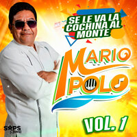 El Cable - Mario Polo