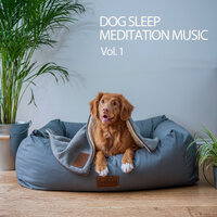 Good Calm Dogs - Music for Dog's Ears & Dogs music & Music for Dogs
