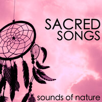 Easy Sleep Music - Sacred Music Collectors