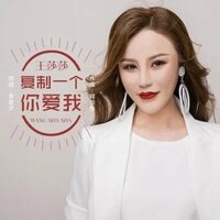 复制一个你爱我 - 王莎莎