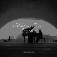 Slow Breeze of Serenity - Piano Music for Exam Study & Canciones de Cuna Relax & Relaxing Piano Jazz Music Ensemble
