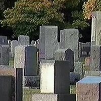 LiveLeak - BONES