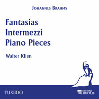 Seven Fantasias, Op. 116: VI. Intermezzo in D Major - Walter Klien & Иоганнес Брамс