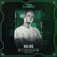 A New Dream - Valido